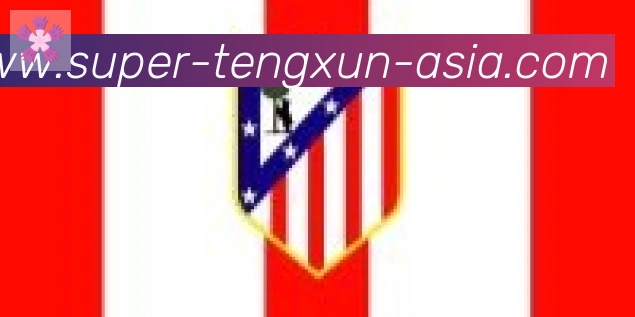 腾讯体育合作伙伴